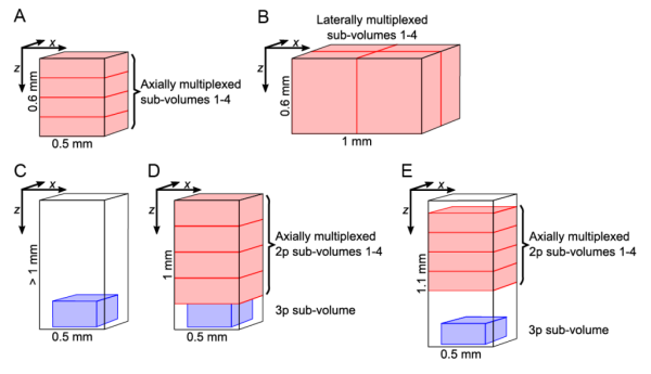 Figure 1: Different acquisition configurations of the HyMS microscopy.